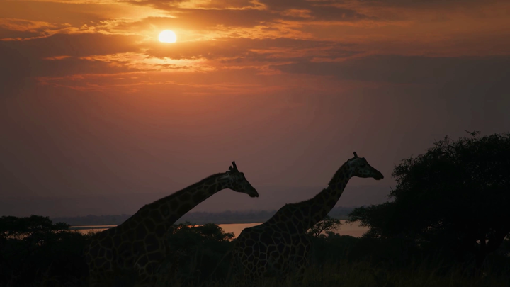 Dve tváre sveta - Uganda